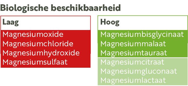 biologische beschikbaarheid magnesium